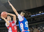 米兰体育,-亚洲篮球新势力崛起，冲破传统枷锁的简单介绍