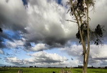 米兰体育,-绿茵风暴！世纪对决点燃全国球迷血脉贲张