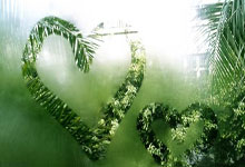 米兰体育官网-摩洛哥瓦赫达主场迎战西雅图海湾者，锋线火力引爆看点