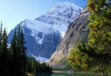 milan.com-高卢雄鸡破晓时——解码法国队晋级背后的双面战袍