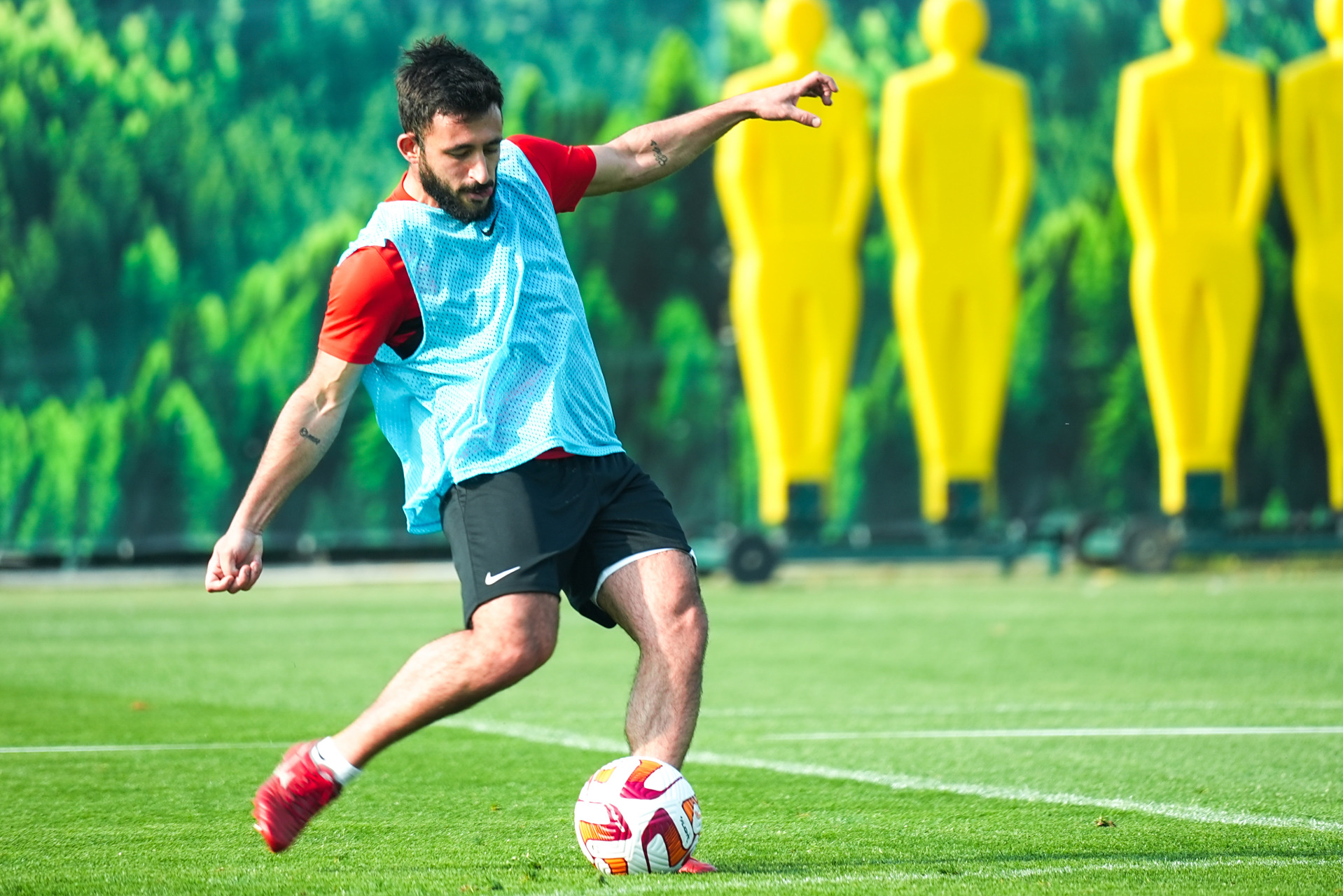 关于陕西科技大学备战实力，全队备战力度调整的信息